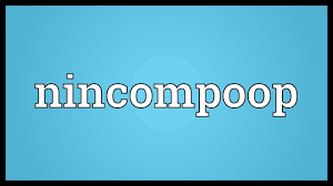 What is Mean by Nincompoop?