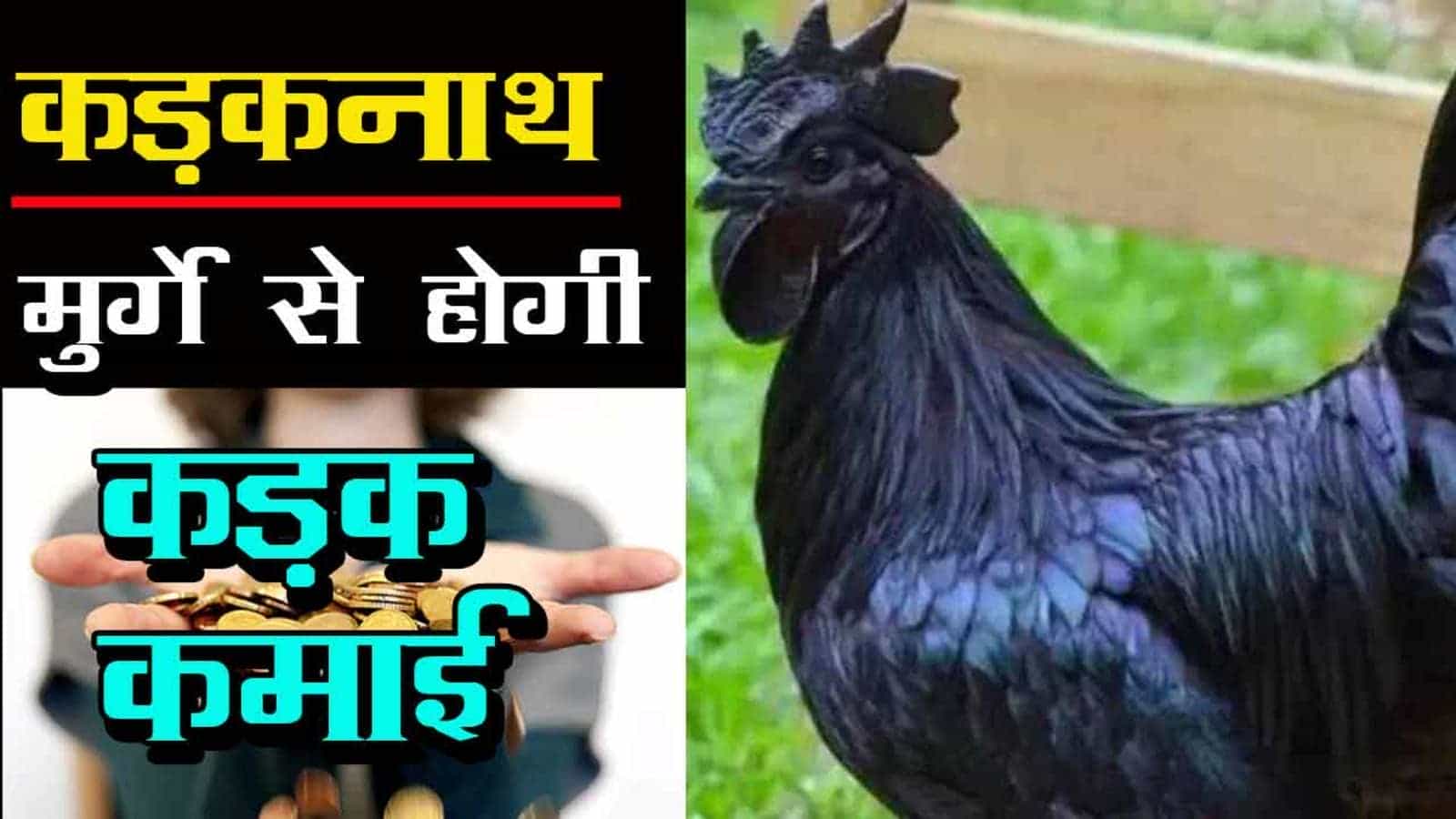 लेख की तस्वीर