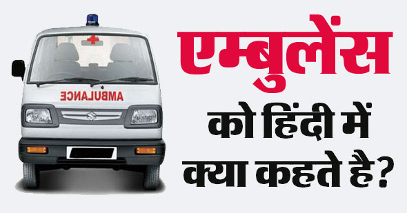 लेख की तस्वीर