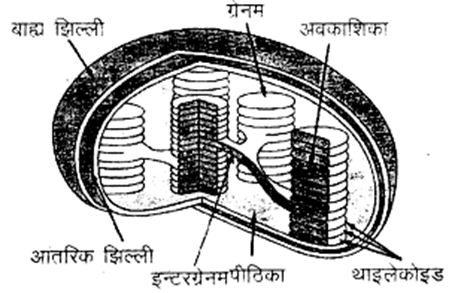 लेख की तस्वीर