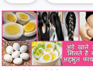 लेख की तस्वीर
