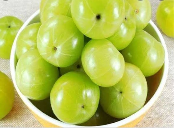 लेख की तस्वीर