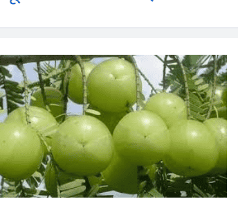 लेख की तस्वीर