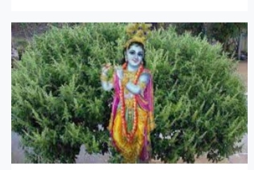 लेख की तस्वीर
