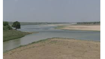लेख की तस्वीर