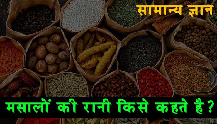 लेख की तस्वीर