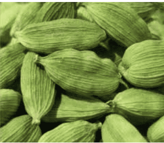 लेख की तस्वीर
