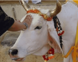 लेख की तस्वीर