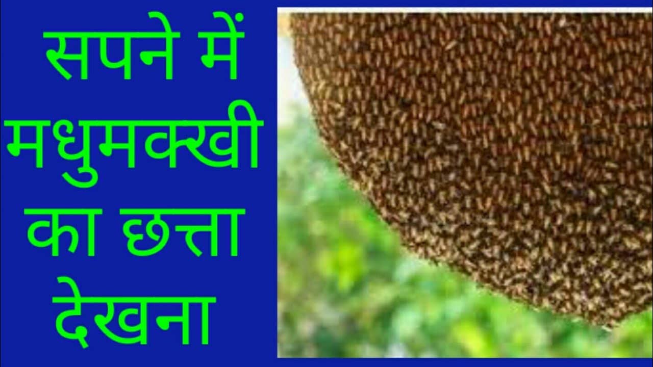 लेख की तस्वीर