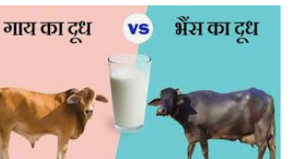 लेख की तस्वीर