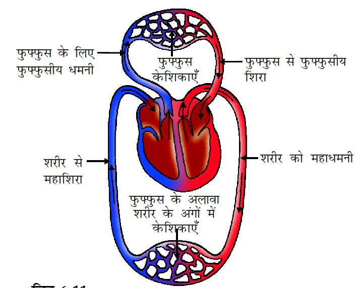 लेख की तस्वीर