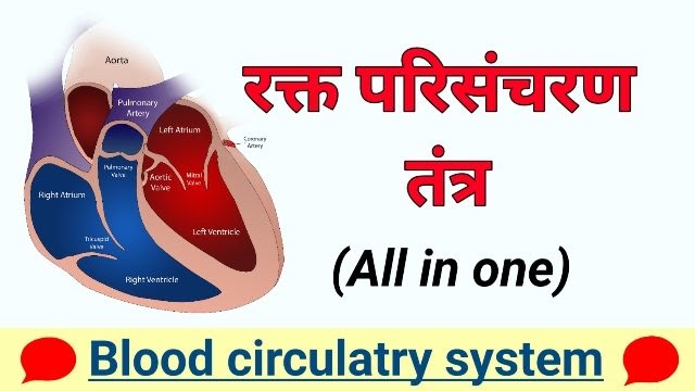 लेख की तस्वीर