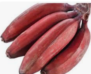 लेख की तस्वीर
