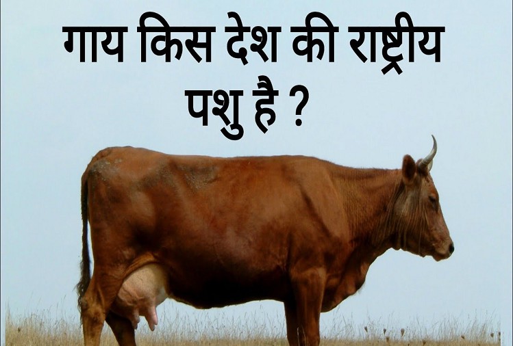 लेख की तस्वीर