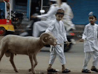 लेख की तस्वीर
