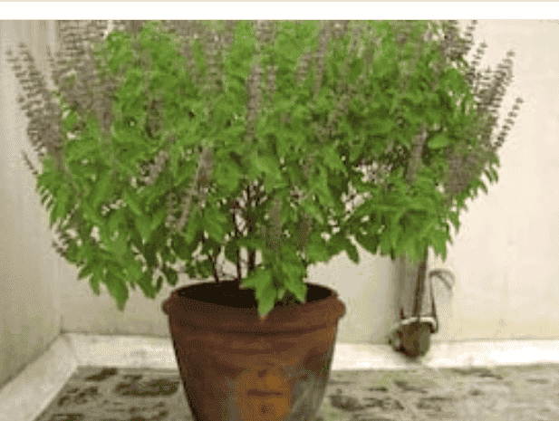 लेख की तस्वीर