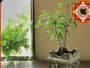 लेख की तस्वीर