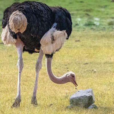 लेख की तस्वीर