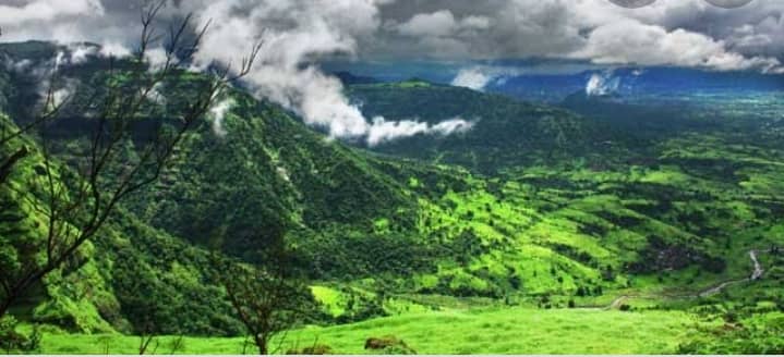 लेख की तस्वीर