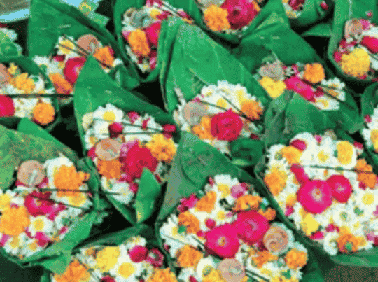 लेख की तस्वीर