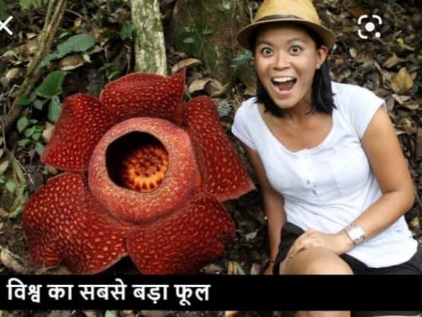 लेख की तस्वीर