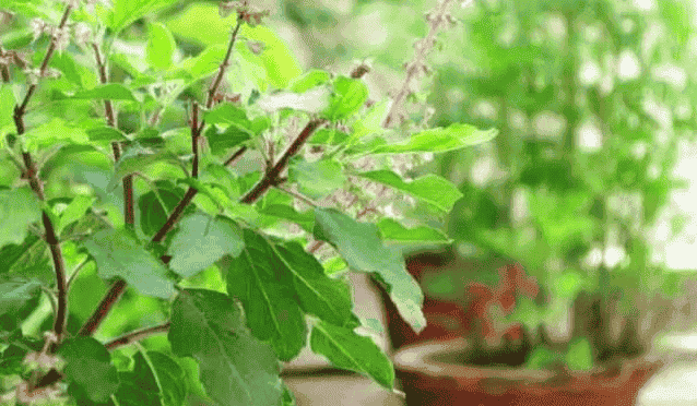 लेख की तस्वीर