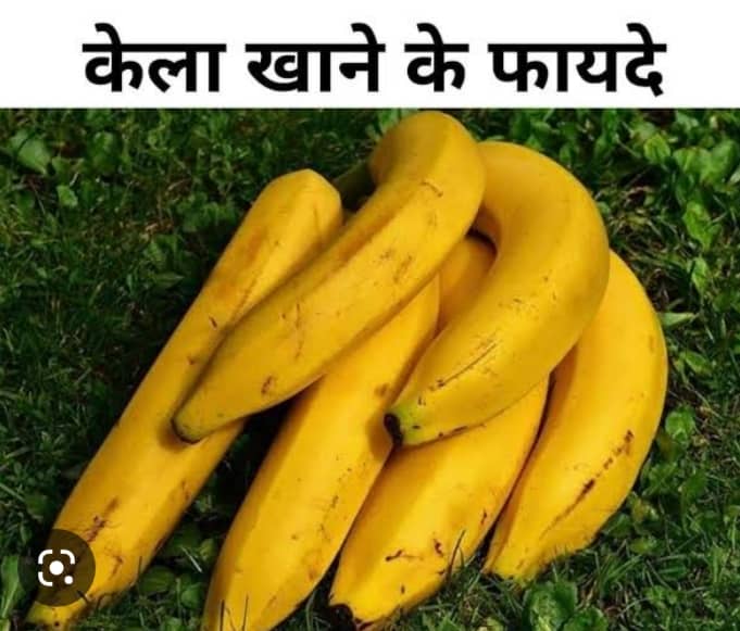 लेख की तस्वीर