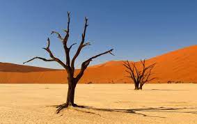 Letsdiskuss Name the deserts of africa?