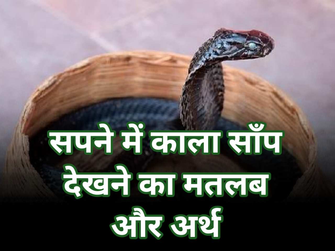 लेख की तस्वीर
