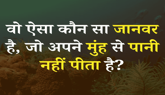लेख की तस्वीर