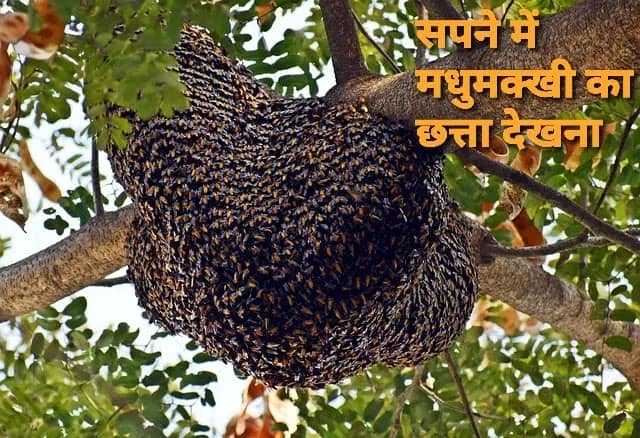 लेख की तस्वीर