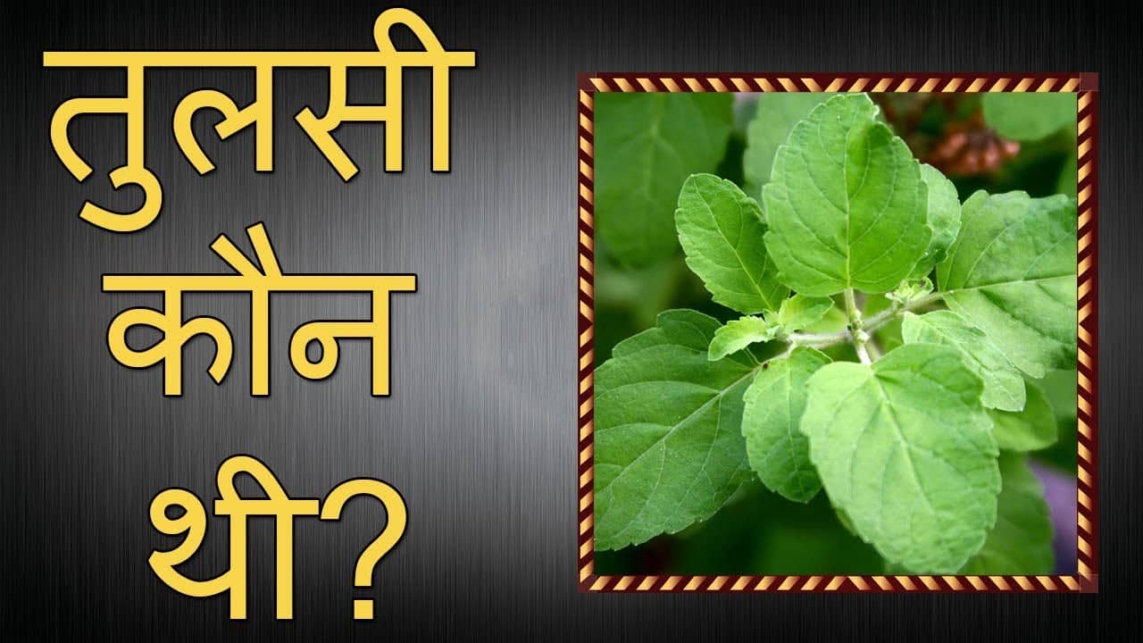 लेख की तस्वीर