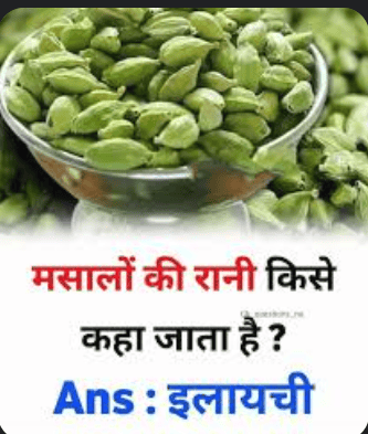 लेख की तस्वीर