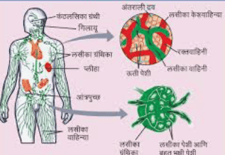 लेख की तस्वीर