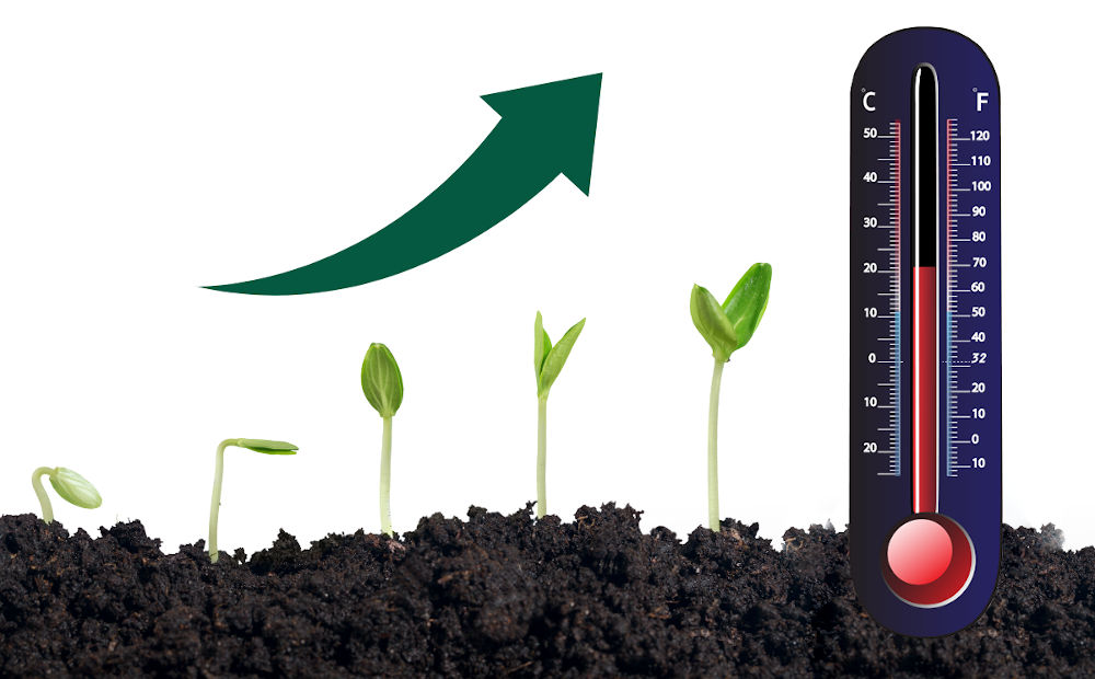 How do temperature and climate conditions impact plant growth?