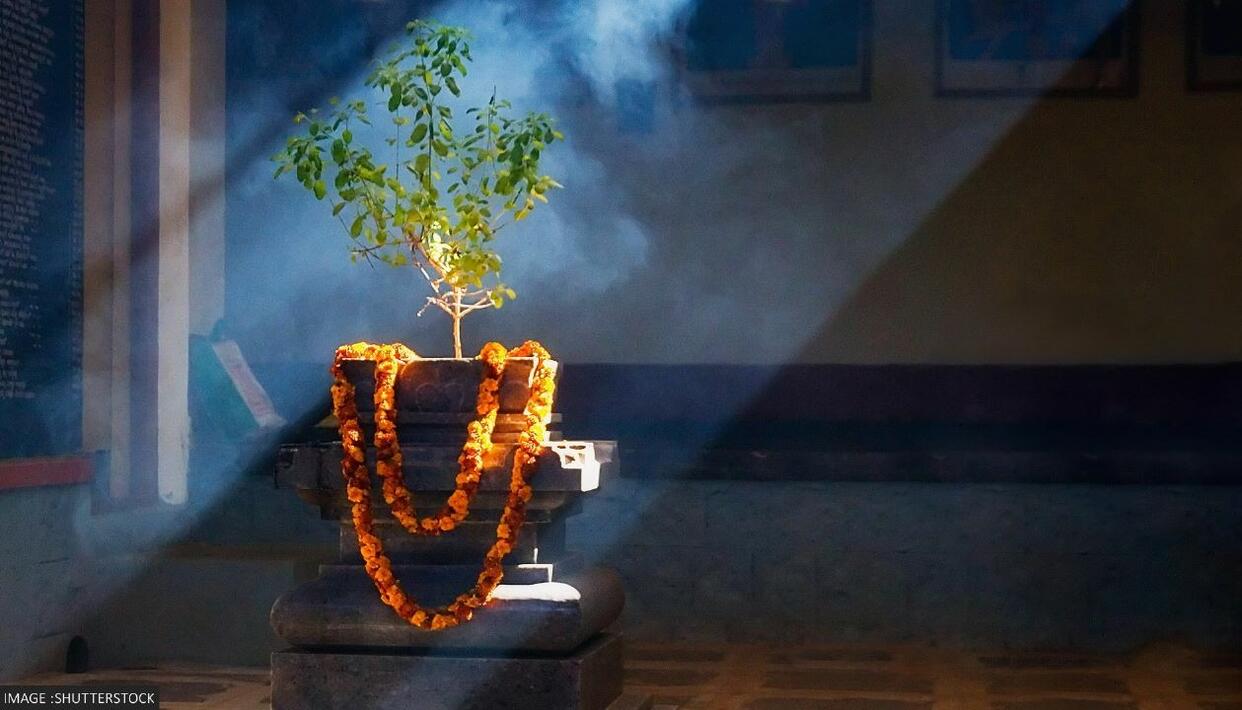 लेख की तस्वीर