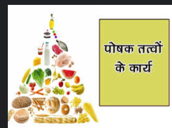 लेख की तस्वीर