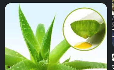 लेख की तस्वीर