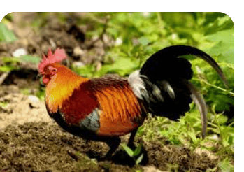 लेख की तस्वीर