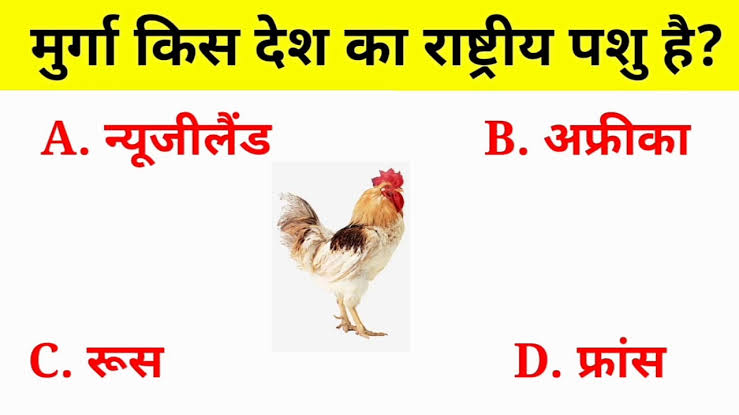 लेख की तस्वीर