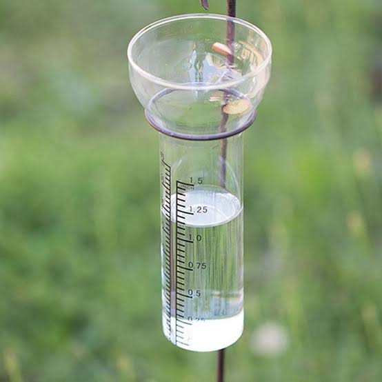 How do you measure rainfall?