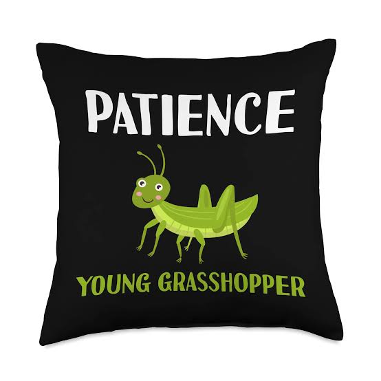 Where does that phrase come 'patience young grasshopper' ?