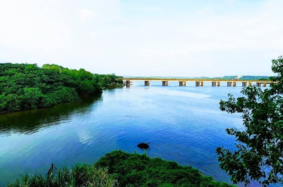 which south indian rivers join arabian sea