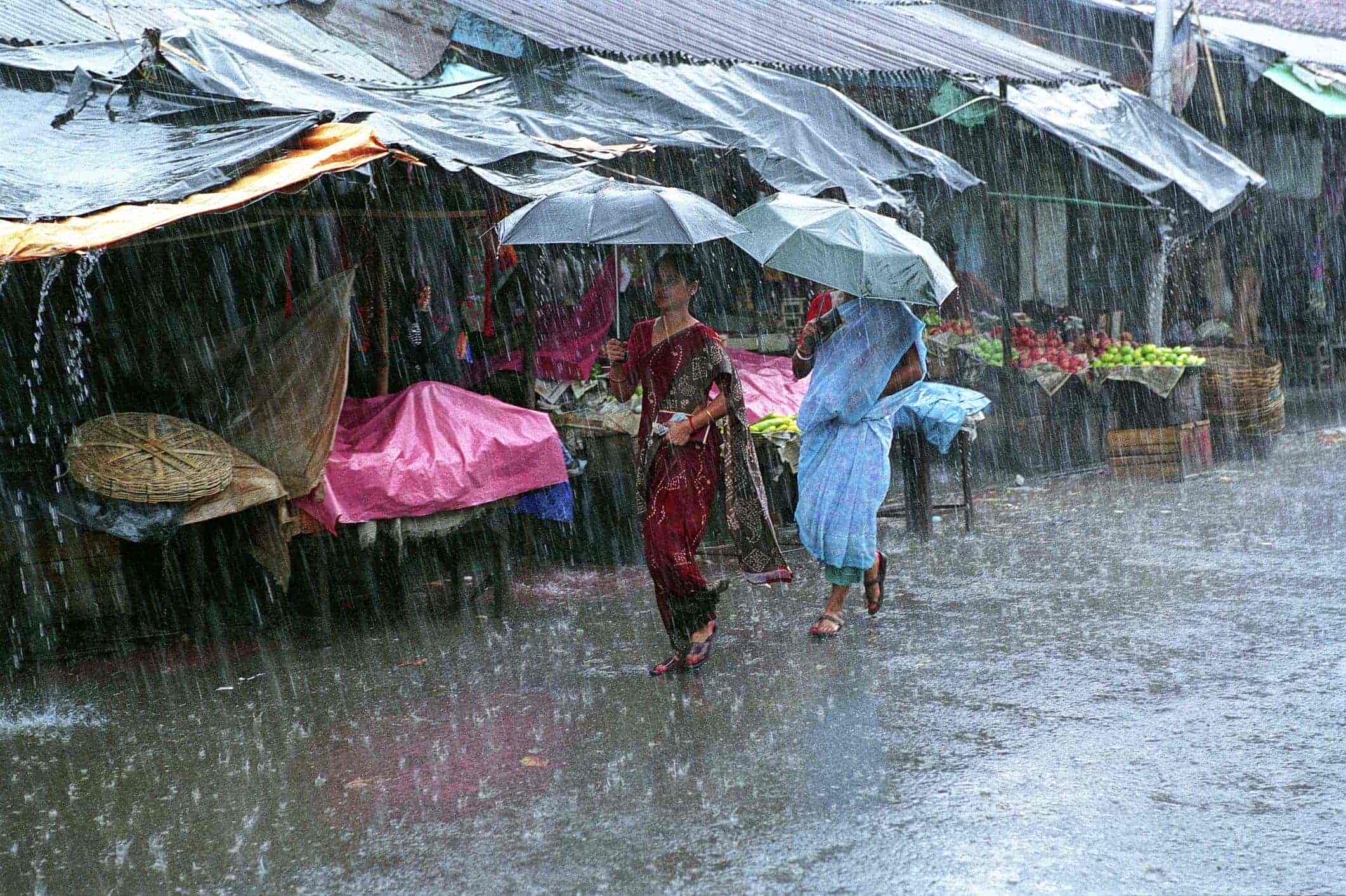 When do the North east monsoon blow from?