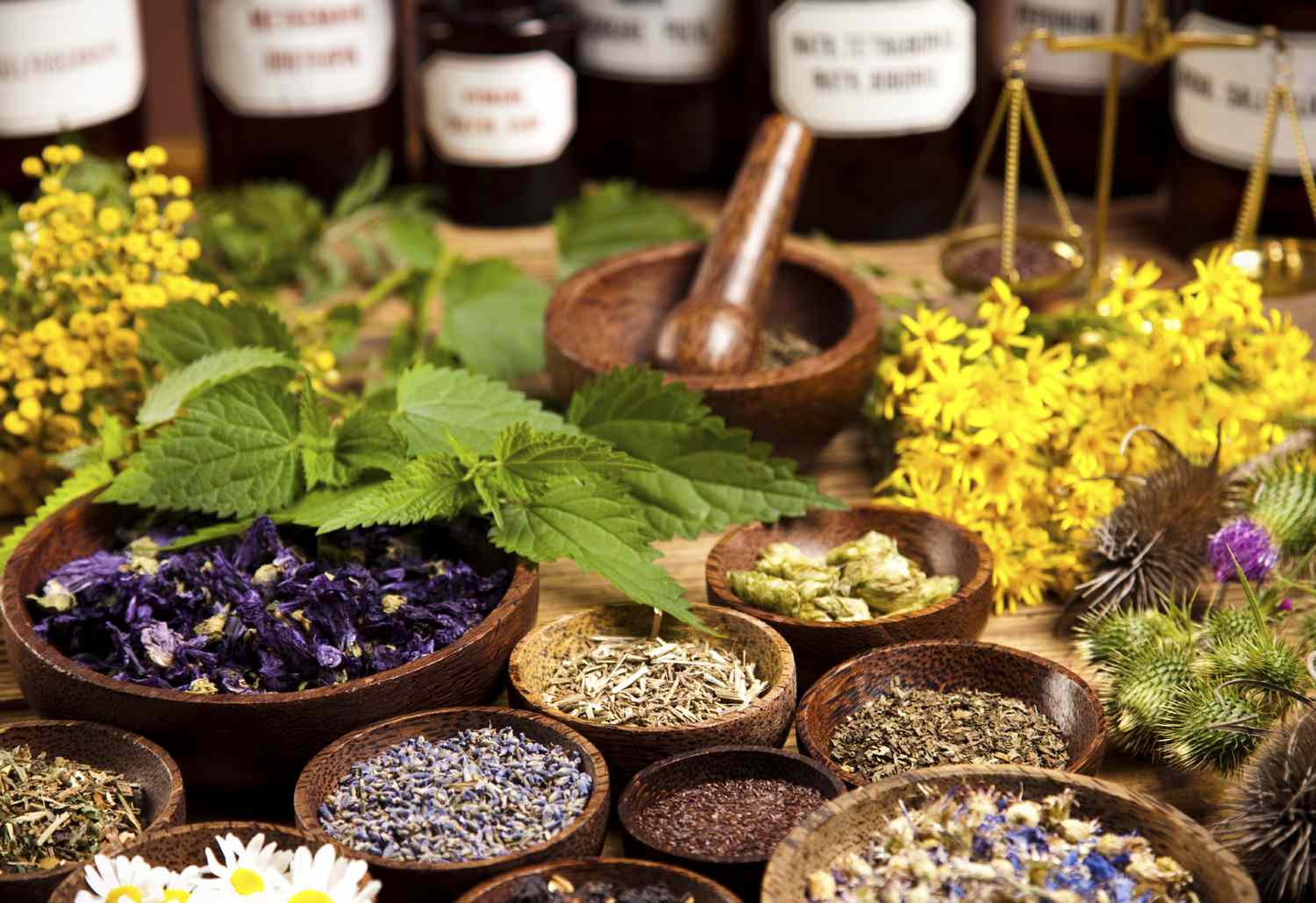 Homeopathy Explained: Understanding Natural Healing Methods