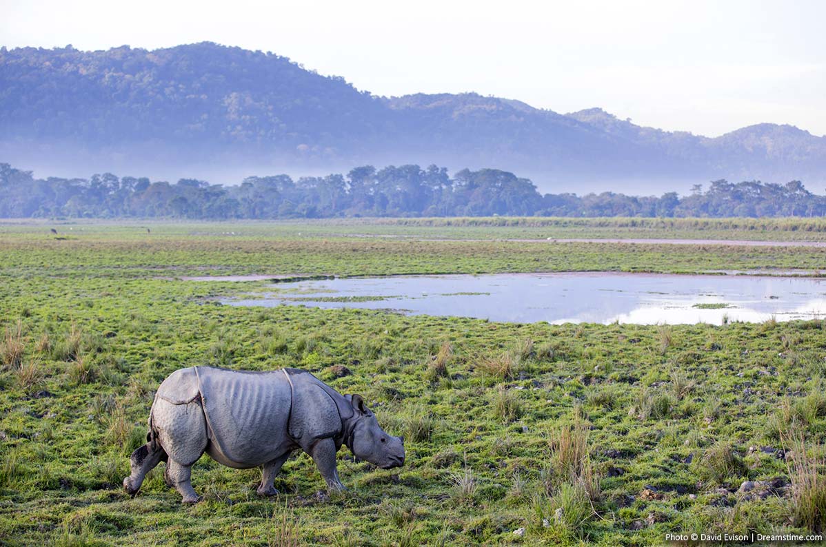 How many National Park in India?