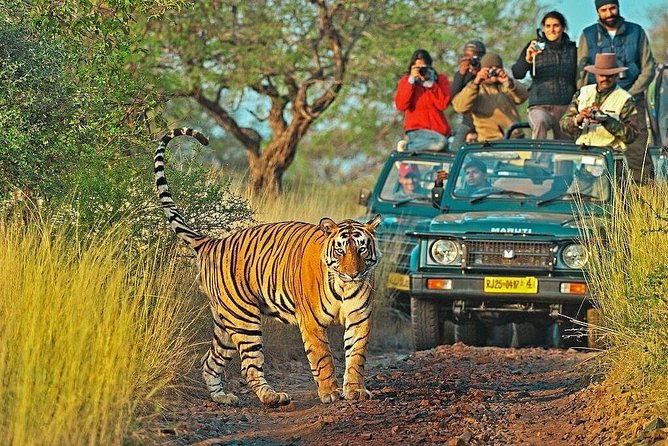 How many National Park in India?