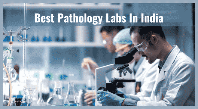 Which is the Best Pathology Lab in India? - Letsdiskuss