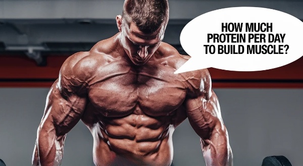 How much Protein to Build Muscle? - Letsdiskuss