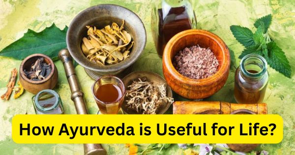 How Ayurveda is Useful for Life? - Letsdiskuss